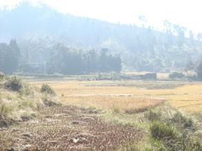 弄木自然村 弄木自然村