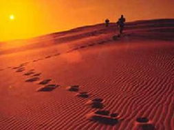 局限台地相 局限台地相