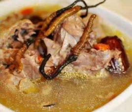 冬蟲草燉白鴿 冬蟲草燉白鴿