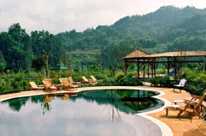 周公山森林公園 周公山森林公園