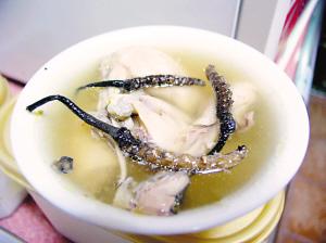 冬蟲草燉鴿 冬蟲草燉鴿