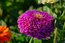 α900直出樣片，無後期