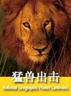 猛獸出擊 猛獸出擊