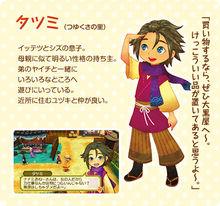 牧場物語：三個村莊的珍貴朋友