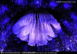 台北攝影博覽會 台北攝影博覽會