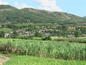 忙埡自然村 忙埡自然村