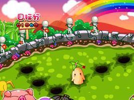 收穫小人參 收穫小人參