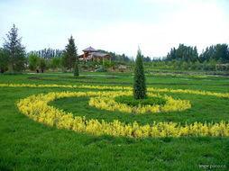 天馬鄉[四川省資陽市安岳縣天馬鄉]