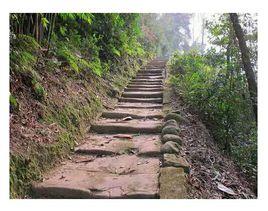 茶馬古道遺址 茶馬古道遺址