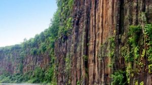 玄武岩柱林 玄武岩柱林