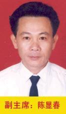陳顯春[海南省五指山市政協副主席]