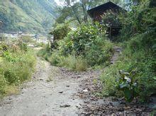 西月各村 西月各村