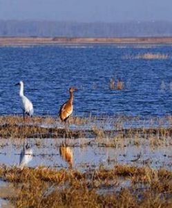 莫莫格風景區 莫莫格風景區