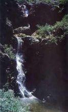 鶴伴山森林公園