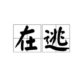 在逃[漢語名詞]