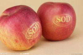 sod蘋果
