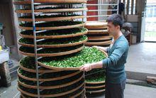 韓嘯[當代藝術家、整形醫生]