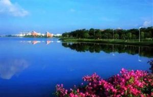 松山湖喜德盛腳踏車服務部