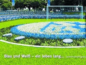 球迷墓地 球迷墓地