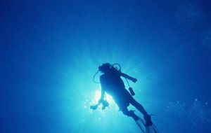 太陽灣海洋運動 太陽灣海洋運動