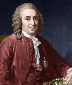 雙命名法 雙命名法