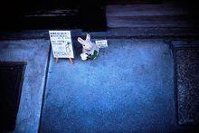 《小百無禁忌》