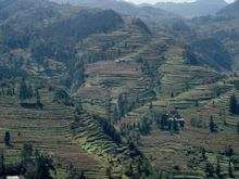 上溝自然村 上溝自然村