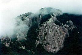 大別山根據地 大別山根據地