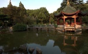 上海丁香花園 上海丁香花園