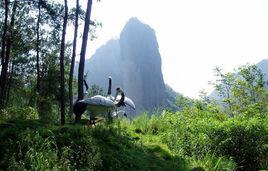 大尖山風景區 大尖山風景區
