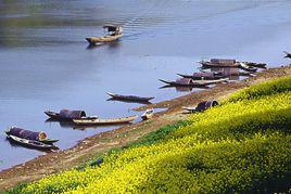 唐河[長江支流淮河水系沱湖水系河流]