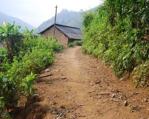 芒傣自然村 芒傣自然村