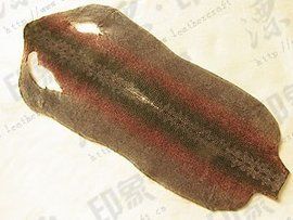珍珠魚皮 珍珠魚皮