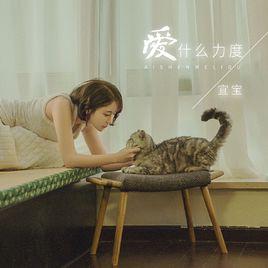 愛什麼力度 愛什麼力度