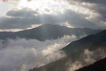 觀霧森林遊樂區風光