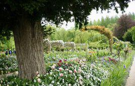 莫奈花園[法國著名畫家莫奈故居]