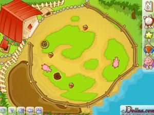 餵養農場小豬 餵養農場小豬