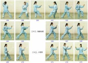 太極拳譜 太極拳譜