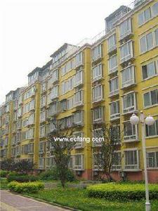 幻星家園 幻星家園