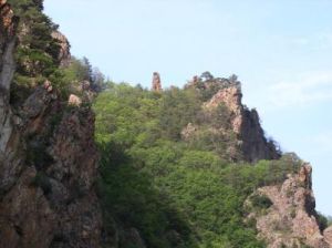 青溝子組 青溝子組