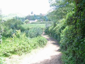 老牛街村 老牛街村