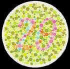 （圖）色覺檢查