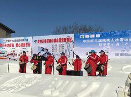 第三屆中國殘疾人冰雪運動季 第三屆中國殘疾人冰雪運動季