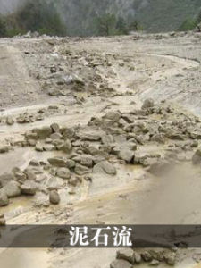 土石流[自然災害]