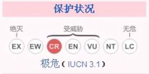 保護狀況