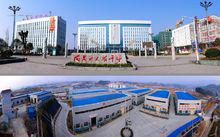 大龍[貴州大龍經濟開發區簡稱]