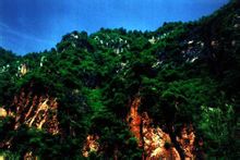 崎峰山國家森林公園