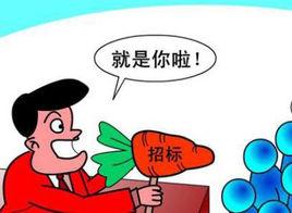 服務招標 服務招標