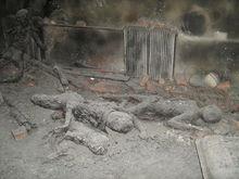 5&middot;6大興安嶺火災