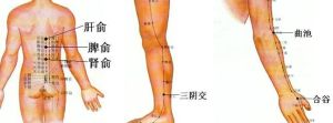 腰疼拔罐穴點陣圖